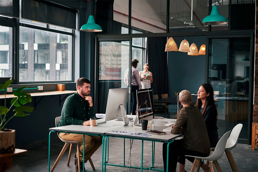 Servicios Profesionales Integrales